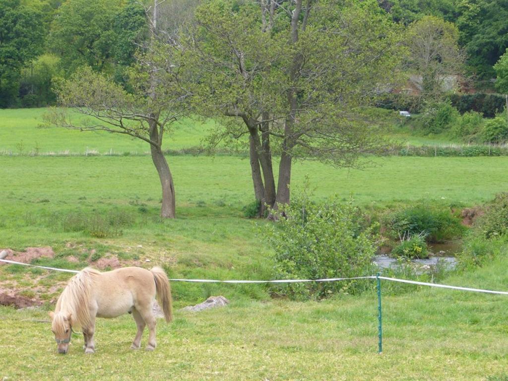 Mill Farm Villa Exeter Eksteriør bilde